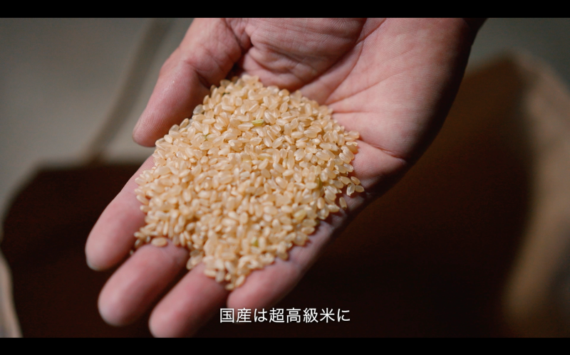 美しい玄米の写真