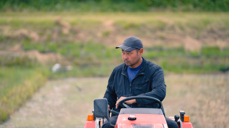 ふじまつ やすみち