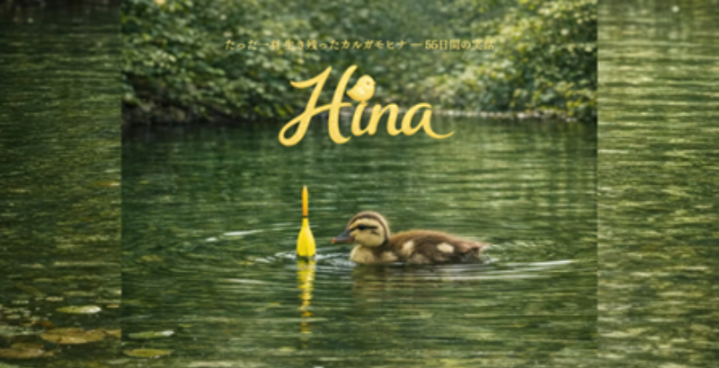 映画『Hina』