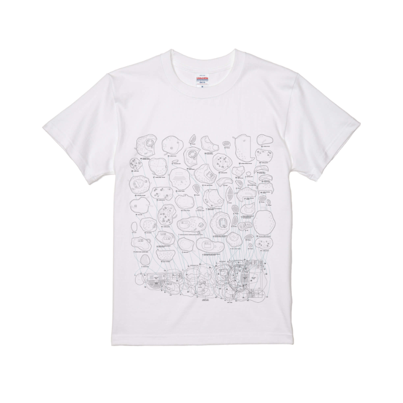 Tシャツイメージ_白