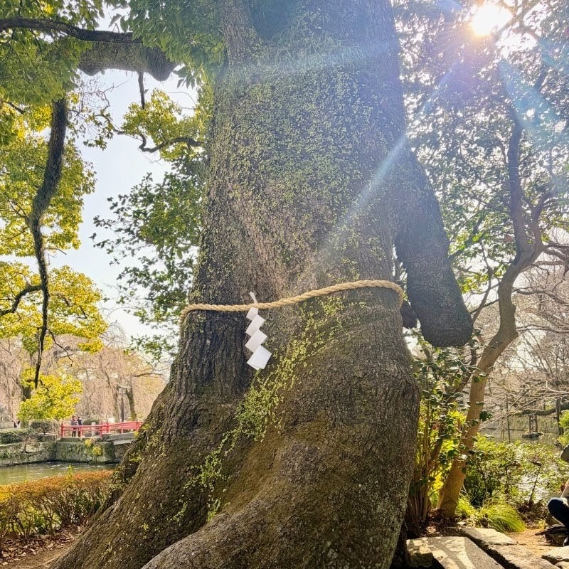 神社のイメージ
