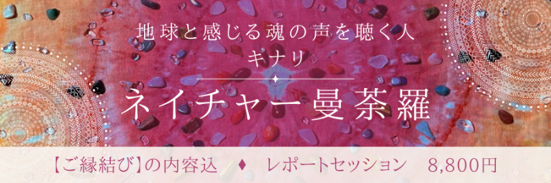 ネイチャー曼荼羅　8,800円