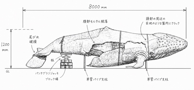 実測図（側面）