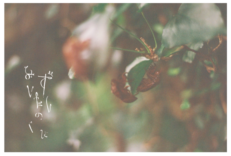 ポストカードA　デザインサンプル