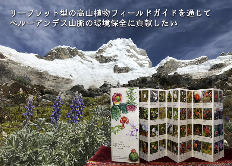 アンデス山脈の登山ガイドブック アンデス山脈の登山ガイドブック 本