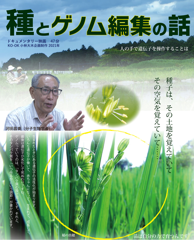 「種とゲノム編集の話」チラシ