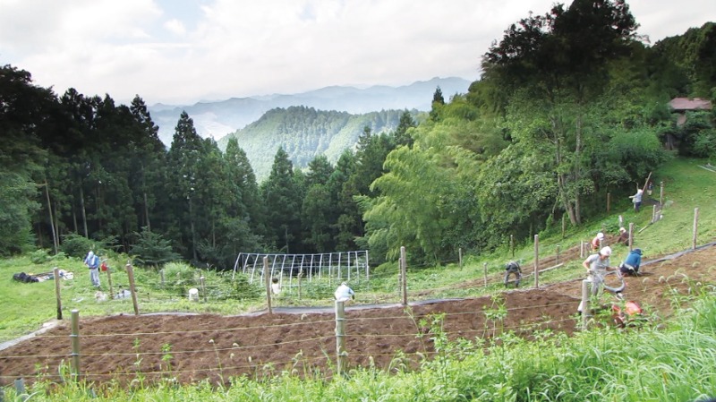 山の上の畑