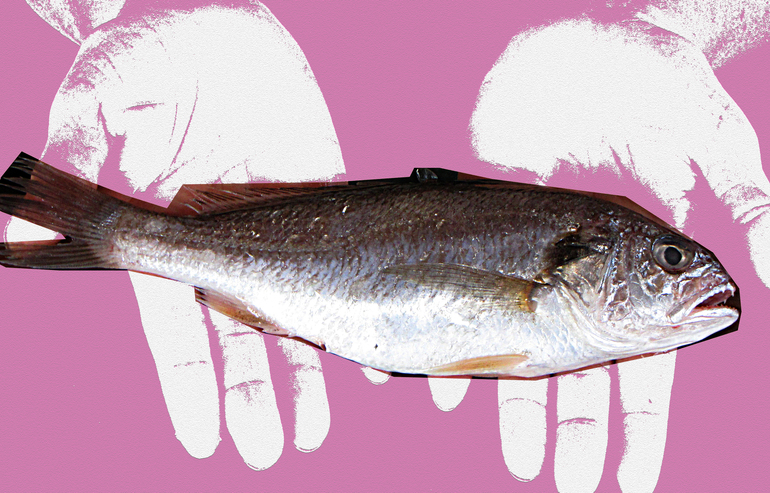 魚
