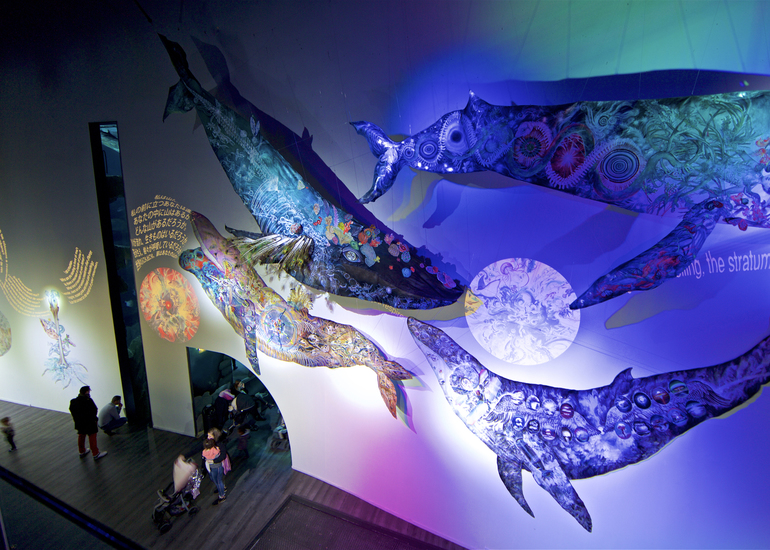現代アート　鯨 鯨の目 Eye of Whale》大小島 真木・アートブック制作